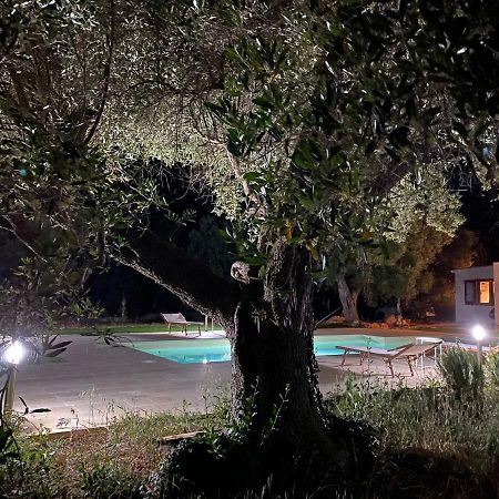 le radici Bed and Breakfast Monopoli Exterior foto