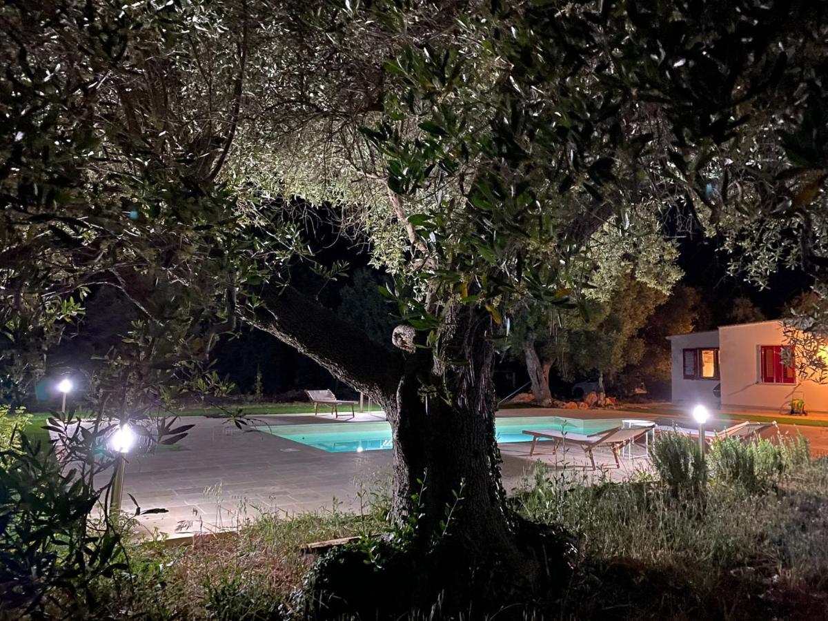 le radici Bed and Breakfast Monopoli Exterior foto